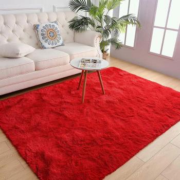 Hall Carpet Manufacturers in Paramaribo